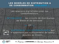 STEERING POINT - Verbatim - suppriment les intermediaires